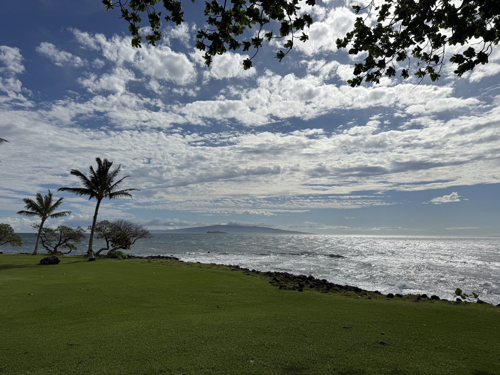 Oceanfront lawn at Wailea Beach Resort, Maui